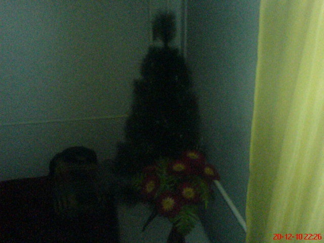 DSC00697